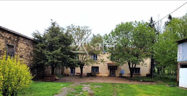 Graan exploitatie Koop tarn