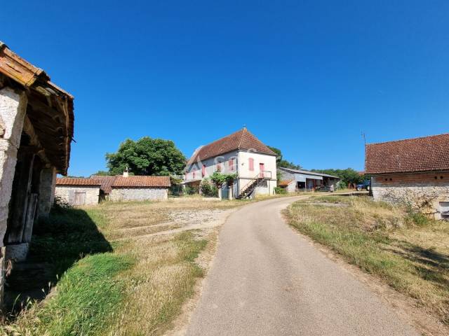 Schapen exploitatie Koop Lot