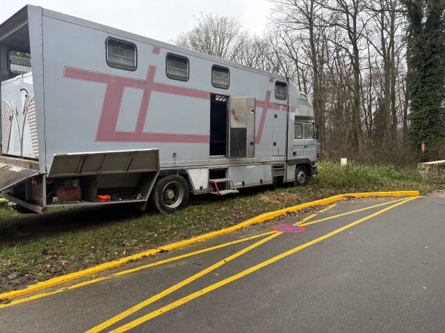 Zware paardenvrachtwagen (groot rijbewijs) Renault Mildium 1985 Tweedehands