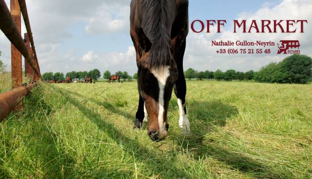 Hippisch vastgoed Koop Saône-et-Loire