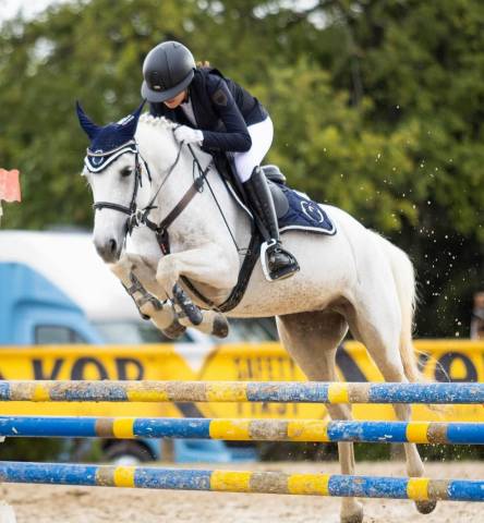 Merrie Connemara Te koop 2011 Schimmel ,  VA TOUT DU RUERE