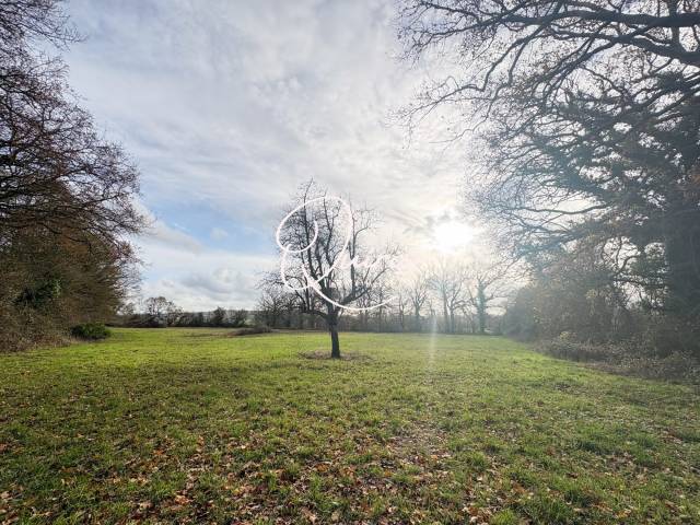 Hippisch vastgoed Koop Calvados