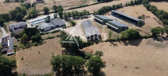 Schapen exploitatie Koop Vienne