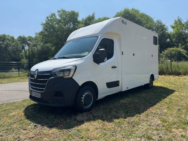 Kleine paardenvrachtwagen (B rijbewijs) AP Petit Renault Master 2019 Tweedehands
