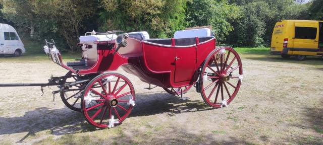 Rijtuigen - Vis-&agrave;-vis   