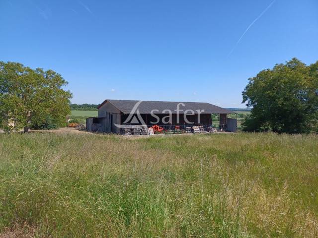 Landbouw bedrijf Koop Vienne