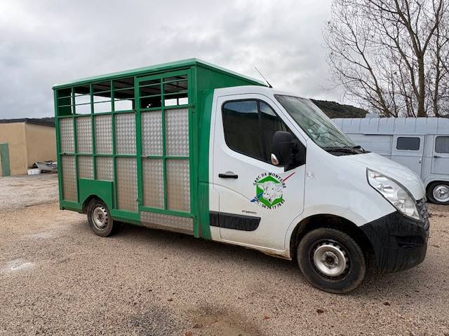 Kleine paardenvrachtwagen (B rijbewijs) Renault  2012 Tweedehands