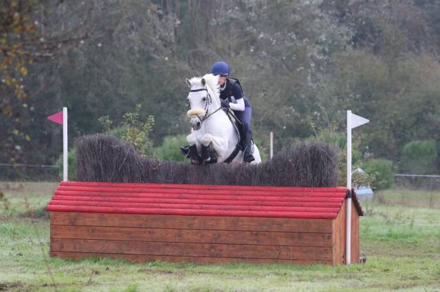 Ruin Connemara Te koop 2008 Schimmel ,  Eloy IV