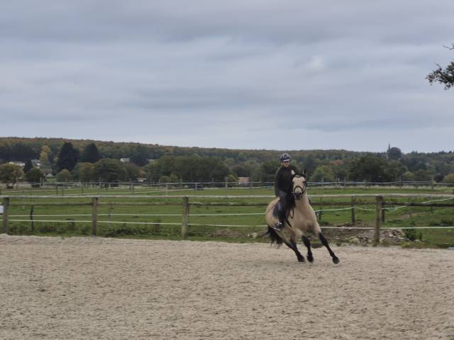 Ruin Connemara Te koop 2021 Isabel