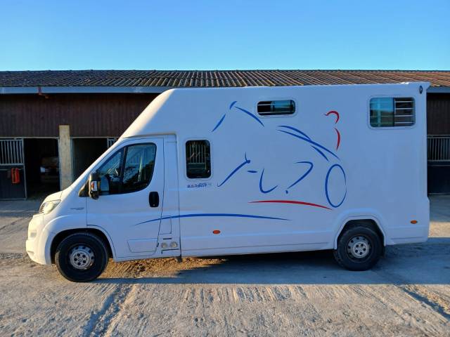 Kleine paardenvrachtwagen (B rijbewijs) Fiat  Fiat Ducato 2019 Tweedehands