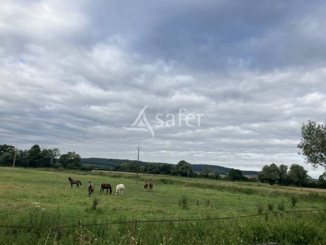 Hippisch vastgoed Koop Haute-Sa&ocirc;ne