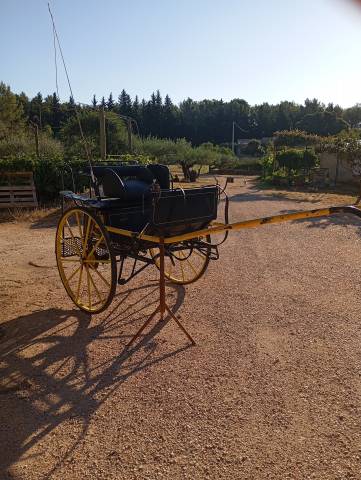 Rijtuigen - Gig Pouvreau 2roues 