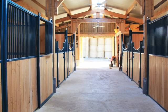 Hippisch vastgoed Koop Puy-de-D&ocirc;me