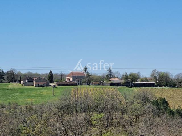 Wijn exploitatie Koop Lot