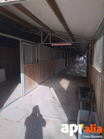 Hippisch vastgoed Huur Tarragone