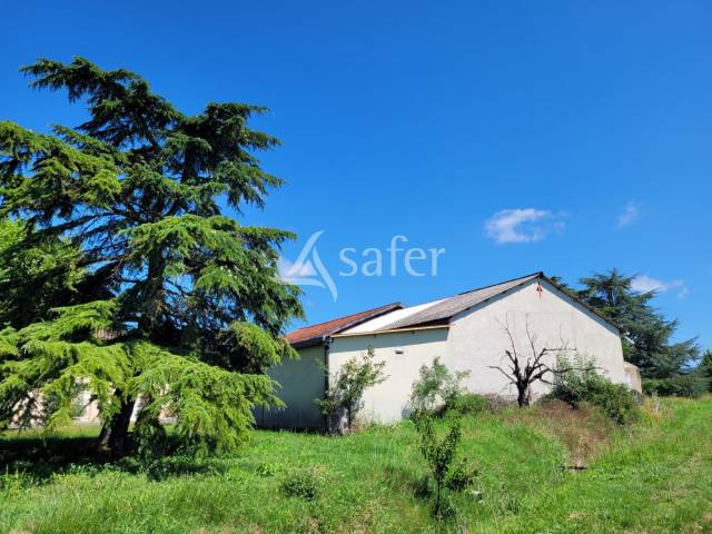 Graan exploitatie Koop tarn