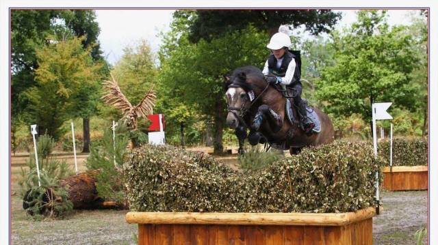 Utrillo d'Arquetan - Franse rijpony PFS 2008 ,  Gribouille Villaud