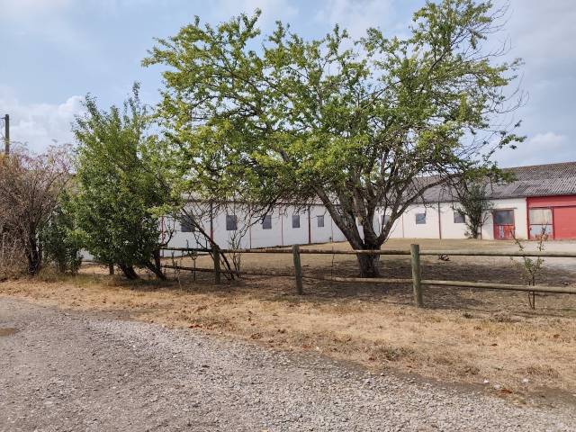 Hippisch vastgoed Koop Allier