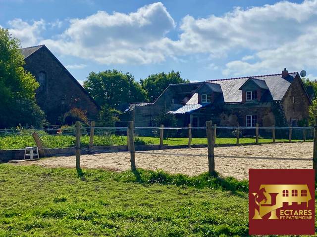 Hippisch vastgoed Koop Loire-Atlantique