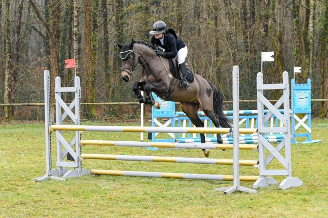 Jupiter d'Arquetan - Franse rijpony PFS 2019 ,  IWAN DE VILLATE