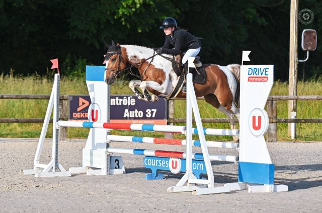 Merrie Bekend ras Te koop 2019 Bont