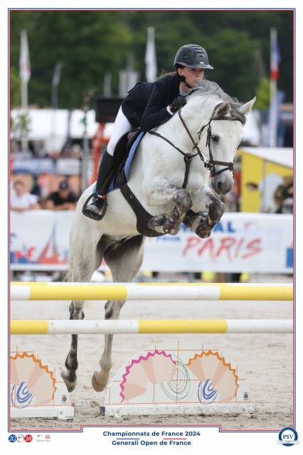 Ruin Connemara Te koop 2018 Schimmel