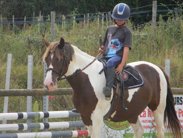 Merrie Ras onbekend Te koop 2011 Bont