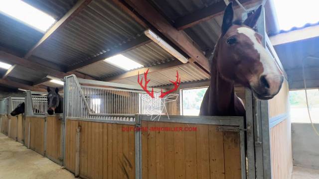 Hippisch vastgoed Koop Tarn-et-Garonne