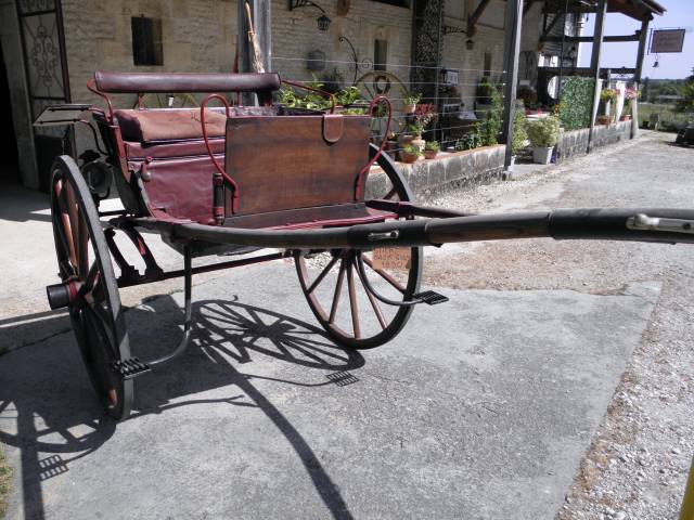 Rijtuigen - Cal&egrave;che  STICK BAG GIG 