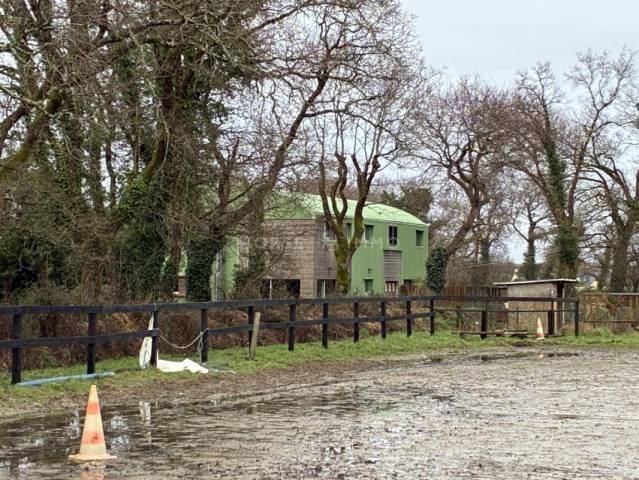 Stoeterij Koop Morbihan