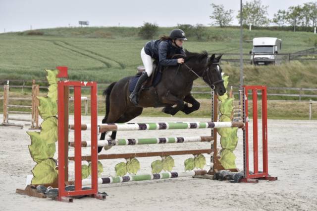 Ruin Connemara Te leen 2014 Overige kleuren