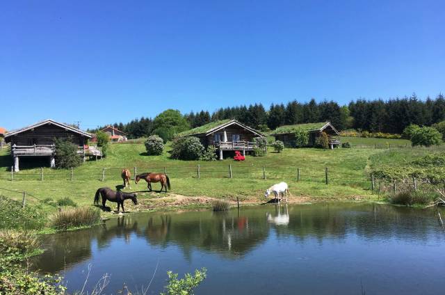 Hippisch vastgoed Koop Haute-Vienne