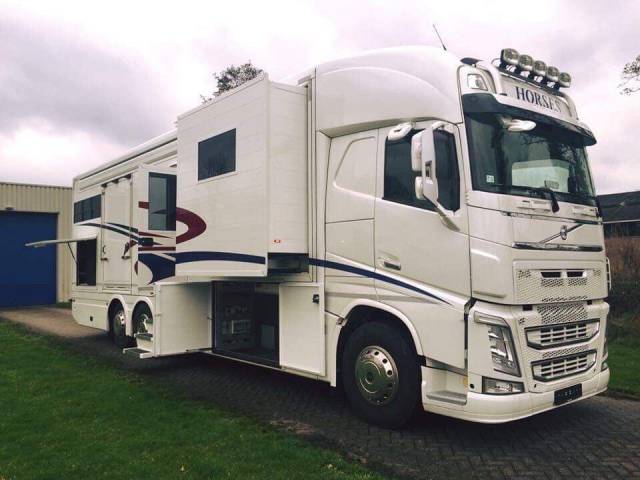 Zware paardenvrachtwagen (groot rijbewijs) Volvo  2014 Tweedehands