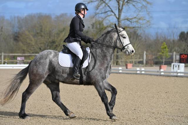 Ruin Connemara Te koop 2021 Schimmel