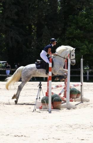 Ruin Connemara Te koop 2018 Schimmel