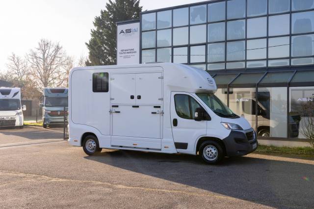 Kleine paardenvrachtwagen (B rijbewijs) Fiat  FIAT DUCATO 2016 Tweedehands