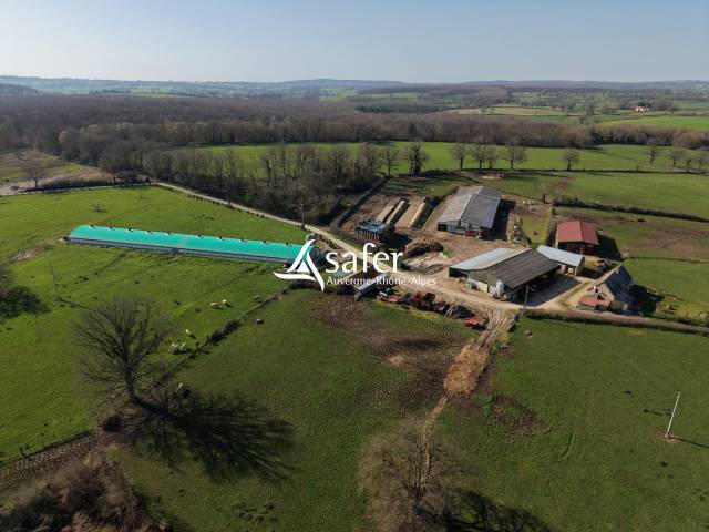 Kippen exploitatie Koop Allier