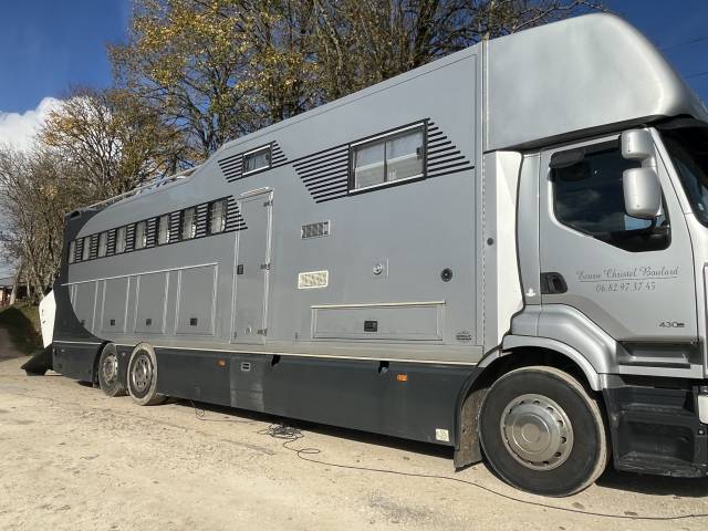 Zware paardenvrachtwagen (groot rijbewijs) Renault Premium 2012 Tweedehands