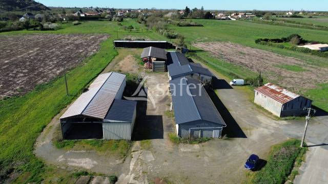 Schapen exploitatie Koop Deux-S&egrave;vres