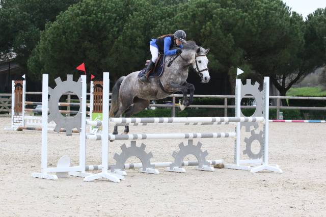 Merrie Franse rijpony PFS Te koop 2020 Schimmel ,  Eros de Vallet