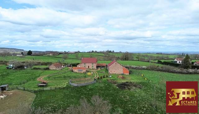 Paarden accommodatie Koop Allier