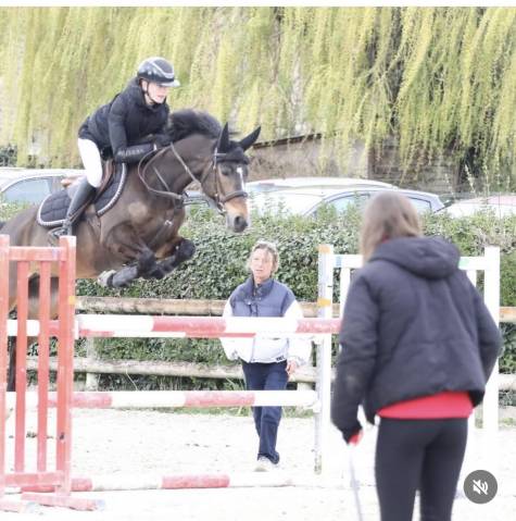 Merrie Franse rijpony PFS Te koop 2016 Donker bruin / bai