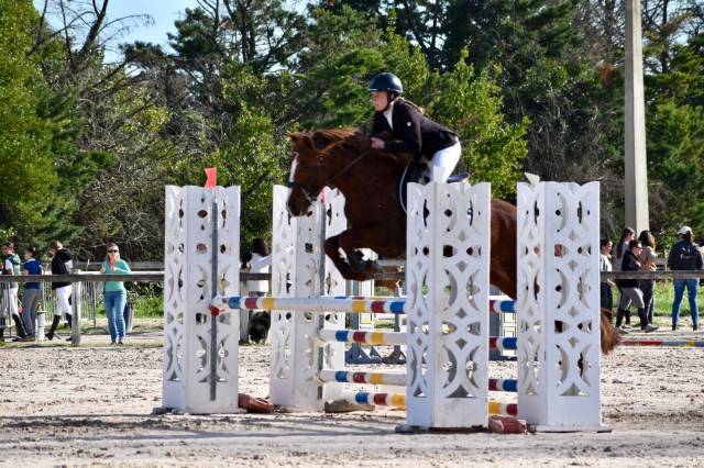 Ruin Connemara Te koop 2021 Vos ,  CLOVER ELIZA MODESTY