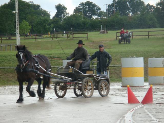 Rijtuigen - Cal&egrave;che   