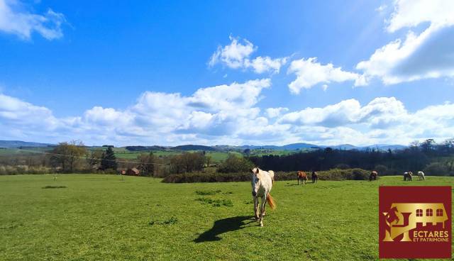 Hippisch vastgoed Koop Allier