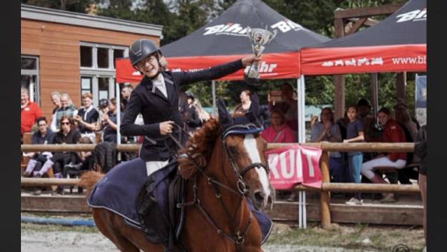 Merrie Belgische pony Te koop 2012 Vos