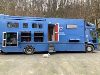 Zware paardenvrachtwagen (groot rijbewijs) Renault 44HH1 2011 Tweedehands