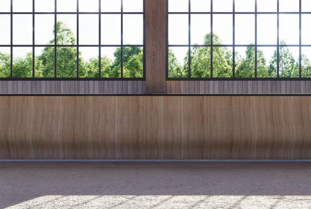 Hoefslagkering/pare-botte/curved kickboard