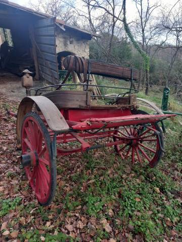 Rijtuigen - Cal&egrave;che   