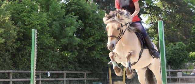 Merrie Fjord Half pension 2012 Isabel